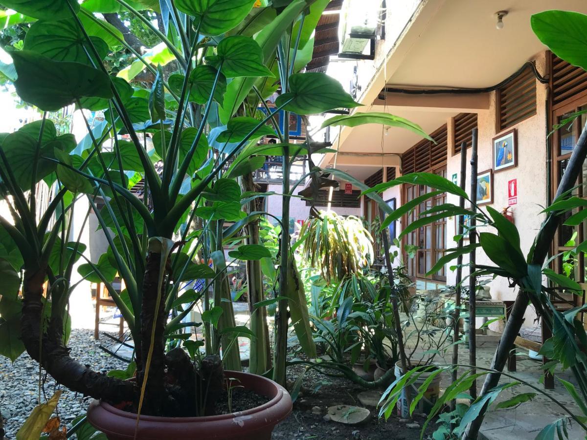 Casa De Palos Boutique Tarapoto Luaran gambar