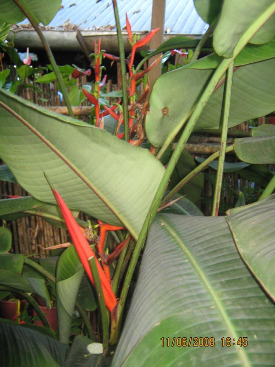 Casa De Palos Boutique Tarapoto Luaran gambar