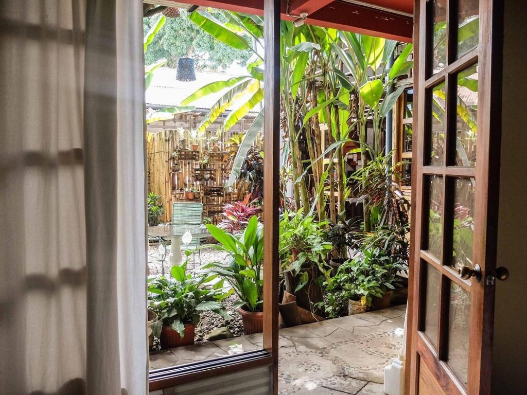 Casa De Palos Boutique Tarapoto Luaran gambar