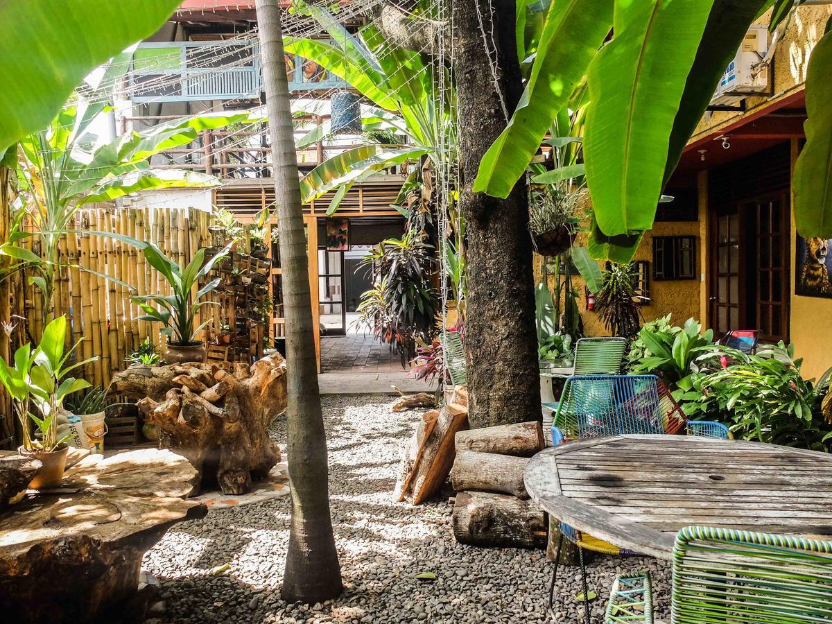 Casa De Palos Boutique Tarapoto Luaran gambar